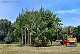 16-08-2022 Breda - Ook deze bosschage op de ligweide heeft een heel andere aanbilk gekregen.  - Fotokrant