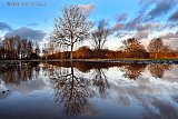 14-01-2019 Breda - Prachtige weerspiegeling in het water aan de Asterdplas aan de rand van de woonwijk Haagse Beemden. - Fotokrant
