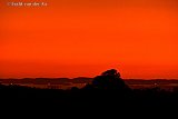 13&ndash;09-2019 Breda - Avondrood. Nabij de snelweg A16 ontstaat na zonsondergang een tropisch landschap. - Fotokrant