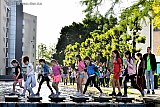 25-05-2023 Breda  - Zo'n 700 deelnemers doen er mee aan de avondvierdaagse in de Haagse Beemden. De deelnemers zochten zelf om het spannender te maken de hindernissen op. - Fotokrant