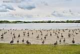 20-05-2021 Breda - Een groot deel van het strand is al bezet. Opvallend is dat de badgasten onderling mooi afstand van elkaar houden.
 - Fotokrant