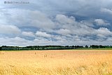23-07-2023 Breda - Van echt zomerweer is geen sprake. Zware bewolking geeft de zon vrijwel geen kans om door te breken. - Fotokrant