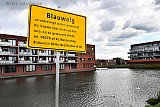 23-08-2020 Breda - Op verschillende plekken in de gemeente is blauwalg aangetroffen. Blauwalg is zowel voor mensen als voor dieren schadelijk. - Fotokrant