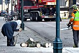 13-01-2020 Breda - Een buurtbewoonster die vroeg om een tak klein te zagen sjouwde de houtblokken die ze kreeg  mee naar huis. - Fotokrant