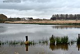 10-12-2023 Breda - De regen van afgelopen nacht heeft delen van velden in het buitengebied blank gezet. Dit komt omdat de grond al verzadigd was van eerderen regenbuien. - Fotokrant