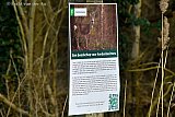 13-02-2025 Breda - Staatsbosbeheer heeft in gebieden waar reeen leven een boodschap voor hondenbezitters opgehangen. Dit is gebeurd nadat opnieuw honden achter een ree aan hebben gezeten. - Fotokrant
