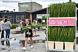27-07-2020 Breda - Met meerdere bossen gladiolen en een glimlach op het gezicht vertrokken de kopers naar huis. Aan het eind van de dag waren er 14.000 gladiolen opgehaald. De gladiolen kwamen beschikbaar omdat de Vierdaagse van Nijmegen vanwege het Coronavirus niet kon doorgaan. - Fotokrant