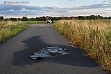 25-07-2023 Breda - In de Vierde Bergboezem is een stuk asfalt gesmolten en omhoog gekomen. In de berm zijn geen brandsporen te zien. Vermoedelijk gaat het om  sterke chemie. - Fotokrant