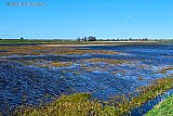 12-03-2020 Breda -De graslanden staan voor een groot deel onder water. Niet eerder liep er zoveel water in de Vierde Bergboezem. - Fotokrant