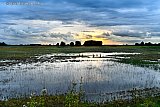 16&ndash;10-2019 Breda - Door  de vele regen die afgelopen dagen is gevallen staat al een deel van de Vierde Bergboezem onder water. - Fotokrant
