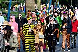 26-02-2022 Breda -Sommige feestneuzen waren niet meer te houden. - Fotokrant