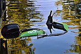 24-09-2023 Breda - Een GO sharing deelscooter is nabij winkelcentrum Heksenwiel in het water beland. Of het opzet is of een ongeluk is niet bekend. - Fotokrant
