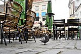 25-01-2022 Breda - Op de Grote Markt staat voor de heropening van de horeca het terras al klaar. Een duif lijkt al een inspectie uit te voeren. - Fotokrant
