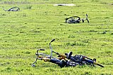 27-08-2023 Breda - Een aantal festivalgangers blijkt de fiets vergeten. Mocht de NS wat OV fietsen missen dan liggen die in een weiland. - Fotokrant