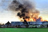 04-03-2024 - Terheijden - Naar schattig van de brandweer zijn 20 runderen bij de brand omgekomen. - Fotokrant