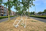 24-07-2026 Breda -  De gevolgen van de droogte door de hoge temperaturen van afgelopen weken zijn in de stad al zichtbaar.  - Fotokrant