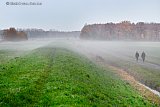 28-11-2022 Breda - Aan het einde van de middag komt er vanuit de weilanden grondmist opzetten. - Fotokrant