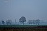 30-11-2023 Breda - Het is grauw en grijs weer. Bijkomend voordeel is welk dat men door de mist het woud van windmolens niet kan zien. - Fotokrant