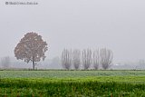 05-12-2022 Breda - Het is grauw grijs weer en waterkoud. - Fotokrant