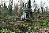 15-02-2024 Breda - Delen van het Haagse Beemdenbos zijn afgelopen dagen gekapt. Dit was noodzakelijk ivm de veiligheid. Door de natte grond vielen bomen om. - Fotokrant