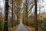 08-12-2023 Breda - Het winterweer lijkt verdwenen  en het Herfstweer is weer terug. Met een temperatuur die alweer aan het stijgen is tot 9 C.   - Fotokrant