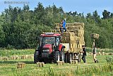25-06-2025 Breda - Ten noorden van de stad zijn boeren aan het hooien. Dit doen ze nog op de oude manier. Met een hooivork worden hooibalen opgepakt  en op de hooiwagen getast. - Fotokrant