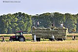 02-06-2021 Breda - In de avond is in de Haagse Beemden een Hollands Tafereel te zien. Een groep mensen is er bezig met het hooi binnen te halen.  - Fotokrant