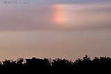 18-05-2023 Breda - Vanuit de Haagse Beemden was op Hemelvaart in de avond midden in de bewolking in noord westelijke richting  een Bijzon in de lucht te zien.  - Fotokrant