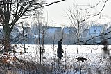 19-01-2024 Breda - Wandelingetje met de hond langs de Asterdplas. - Fotokrant