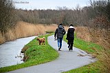 22-02-2026 Breda - Vrijwel de hele dag viel er regen. In de middag was het een paar uur droog en kon men met de hond aan de wandel. - Fotokrant