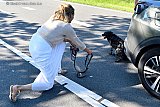 21-06-2019 Ulvenhout - Een automobiliste had toevallig een lijn bij en heeft de hond aangelijnd. De eigenaar kan de politie bellen. - Fotokrant