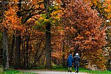 04-12-2022  Breda - Het is  nu volop herfst in het Haagse Beemdenbos. - Fotokrant