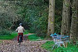 02-11-2022 Breda - Het is herfst en in het Haagse Beemdenbos zijn winkelwagentjes te zien. - Fotokrant