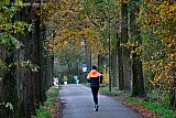 20-11-2023 Breda -  Door het natte weer zijn de herfstkleuren nog maar een beetje zichtbaar ten noorden van de stad.  - Fotokrant