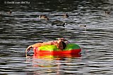 23-06-2026 Breda -  Het is met 30c in de avond nog lang warm. Een man dobbert in het gezelschap van watervogels op de Asterdplas. - Fotokrant