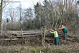 11-02-2019 Breda - Aan de rand van de Haagse Beemden zijn de afgelopen dagen speciale houtwallen aangelegd. Dieren kunnen hierin schuilen en nestelen. - Fotokrant