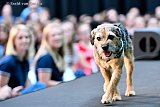16-05-2019  Breda - De 2e die het podium betrad was hond Skipper van boswachter Arjan Postma. - Fotokrant