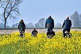 14-04-2019  Gele bloemenpracht aan de rand van de Haagse Beemden. De lente zet door en het Koolzaad staat al in bloei.  - Fotokrant