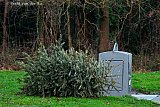 06-01-2025 Breda - Traditioneel gaat op 6 januari de kerstboom de deur uit. Verbranden mag in de stad niet meer. Dus belanden ze naast de containers. - Fotokrant