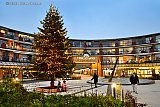 29-11-2020 Breda - Omdat sinterklaas niet op de normale manier gevierd kan worden staat om extra sfeer te brengen op winkelcentrum Heksenwiel de kerstboom al te schitteren. - Fotokrant