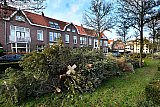 15-01-2020 Breda - De kerstboomverbrandingen zijn in de stad al voorbij. Toch liggen er in verschillende wijken nog bergen met kerstbomen. - Fotokrant