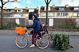 09-01-2019 Breda - Teamwerk tussen moeder en dochter bij het wegbrengen van de kerstboom. - Fotokrant