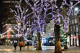 22-12-2020 Breda - Op de vrijwel verlaten Grote Markt schitteren de bomen die vol met lampjes zitten. - Fotokrant