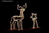 15-12-2021  Breda - Sfeerverlichting in een voortuin in de Haagse Beemden zorgt voor extra sfeer in deze donkere dagen. - Fotokrant