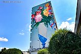 29-07-2022 Breda - Al weken is kunstenaar Joram Roukes bezig met het maken van de hoogste muurschildering van Breda. Op de zijkant van een enorme flat staat een prachtige vaas met bloemen.  - Fotokrant