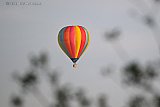 21-06-2026 Breda - Een kleurrijke hete luchtballon vaart in de avond over de stad. - Fotokrant