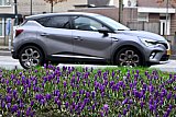 24-02-2026 Breda - Nu de krokussen al in bloei staan is de lente aanstaande. - Fotokrant