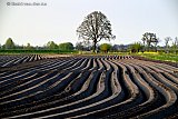 14-04-2026 Breda - Een boer is creatief op een akker bezig geweest. Het resultaat mag er zijn een prachtig lijnenspel. - Fotokrant
