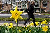 02-02-2026 Breda - Het is nog koud en fris. Maar de 1e tekenen van de lente zijn al zichtbaar in de stad. - Fotokrant