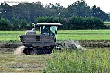 15-09-2022 Breda - Met een speciaal rupsvoertuig is het lagere moerasdeel van de Vierde Bergboezem gemaaid.  - Fotokrant